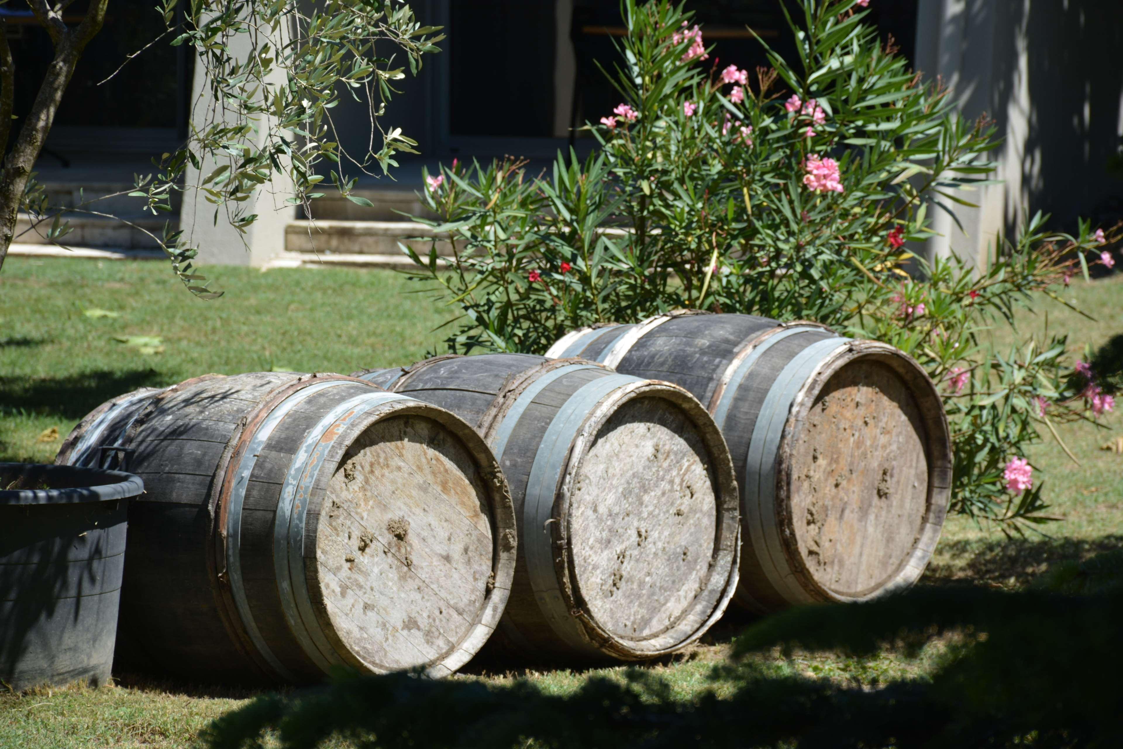 Best Western Plus Clos Syrah Valence (Drome) Exterior foto